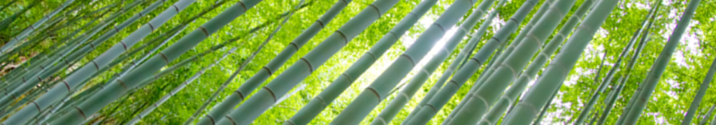 布団セットの気になるココ！！