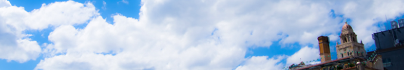 UVカット　人気商品情報